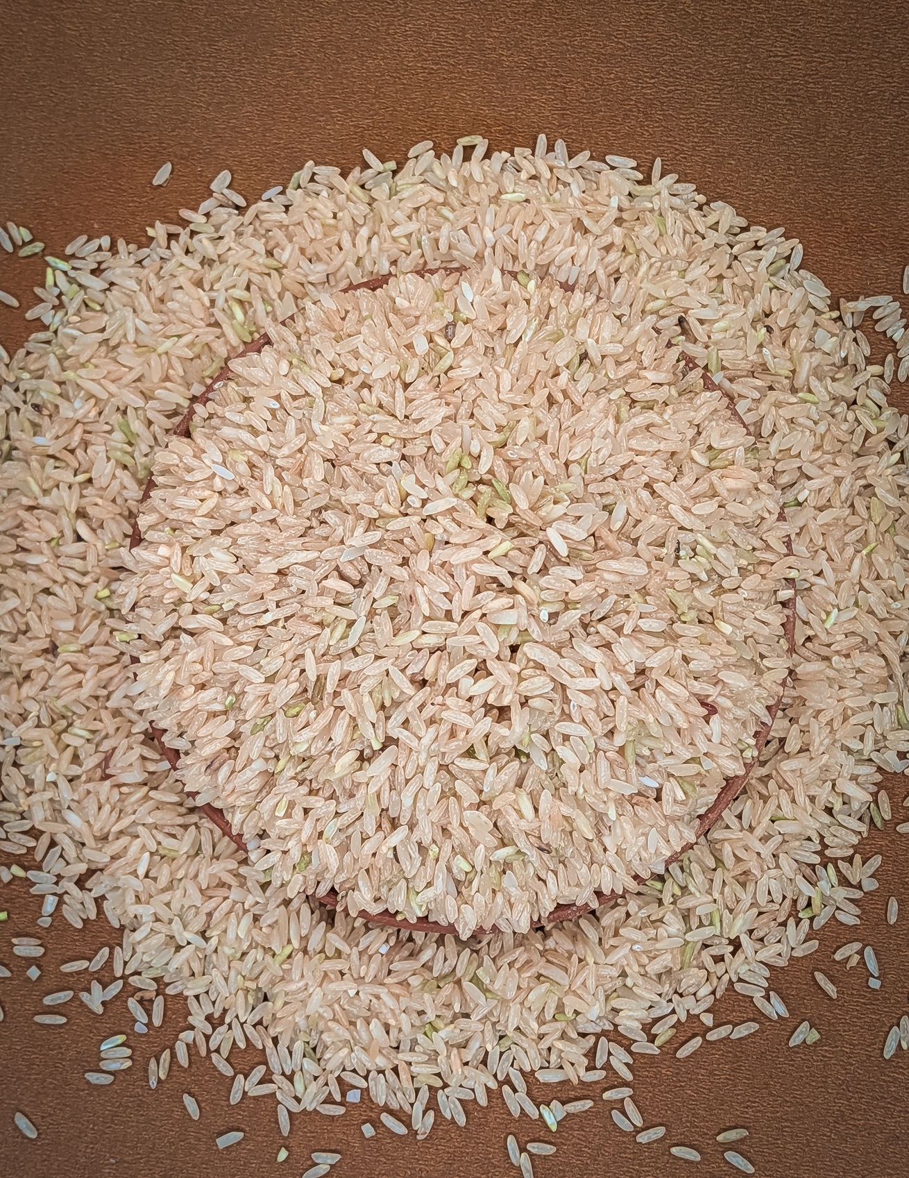 Mysore Malliga - Image 7